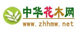 供应中华花木网